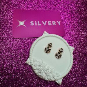 Elegant Sparkle 925 Silver Earrings